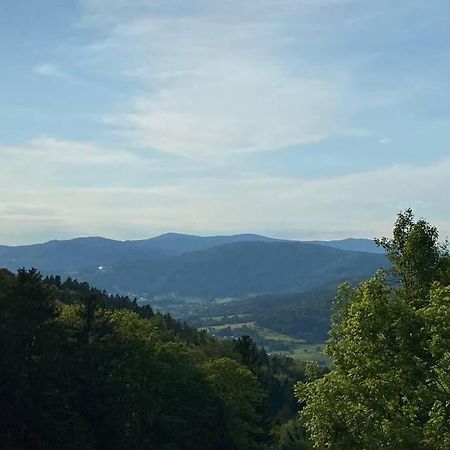 Urig / Mitten Im Bayerischen Wald + Schonblick + Netflix Schöfweg Esterno foto