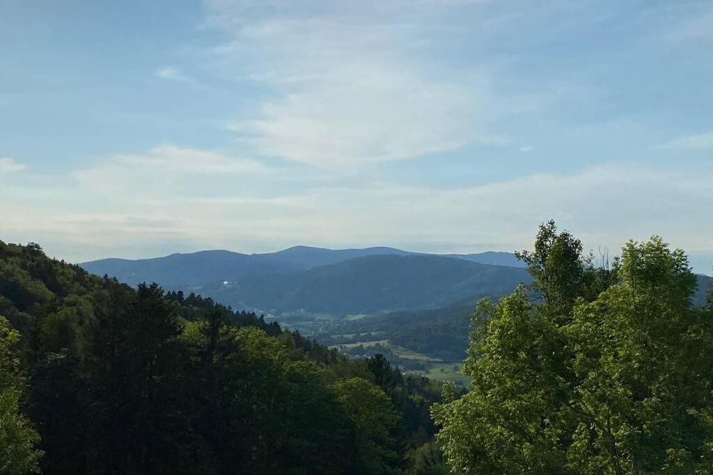 Urig / Mitten Im Bayerischen Wald + Schonblick + Netflix Schöfweg Esterno foto