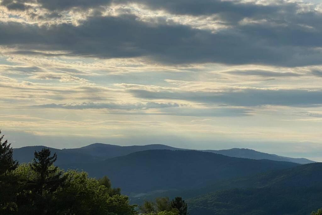 Urig / Mitten Im Bayerischen Wald + Schonblick + Netflix Schöfweg Esterno foto